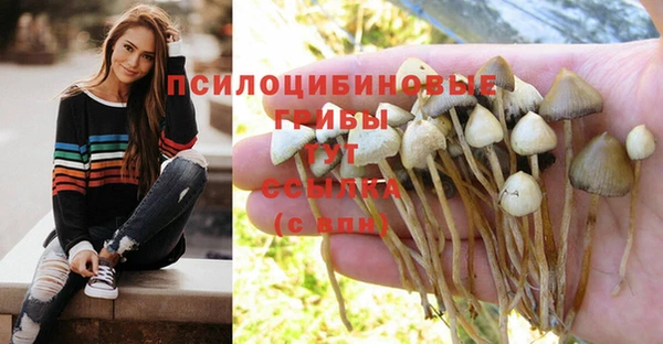 экстази Алексеевка