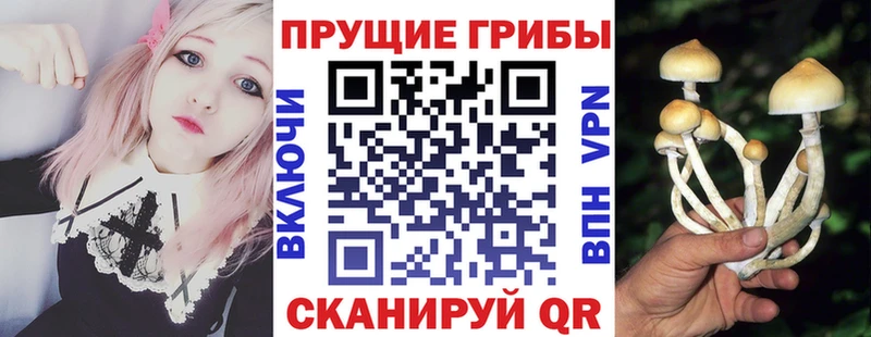 Псилоцибиновые грибы MAGIC MUSHROOMS  Троицк 